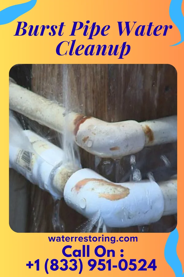 Burst Pipe Water Cleanup in Eastborough, KS