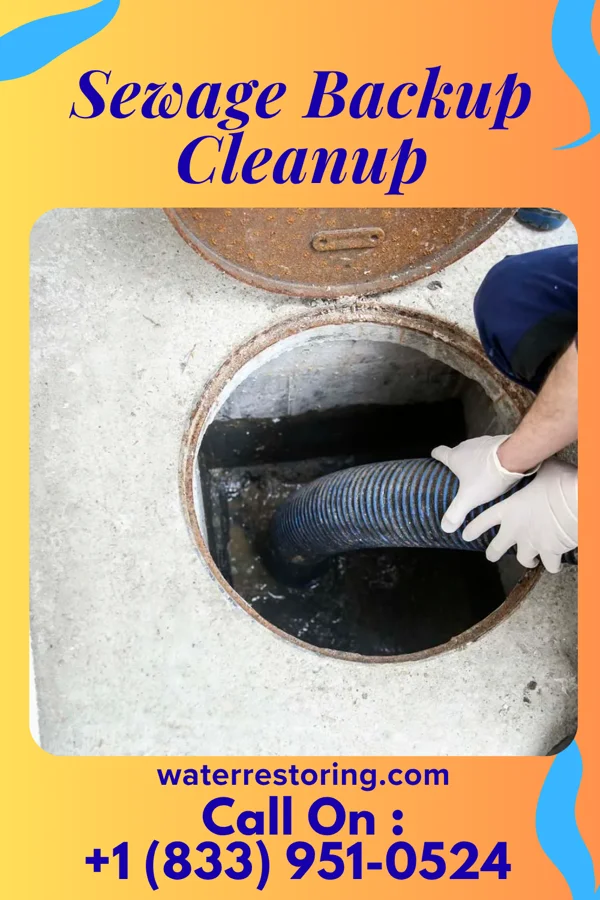 Sewage Backup Cleanup in Eastborough, KS
